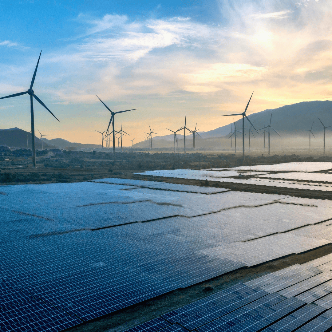 Miller Energy Outlook -copertina